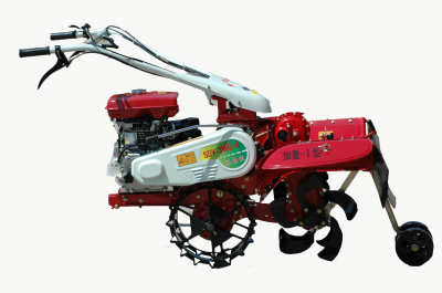 ��@����C(j��)�C(j��)���|(zh��)���É���α�e