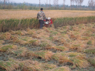 �ո�����C(j��)ʹ�Ñ�(y��ng)�������(xi��ng)