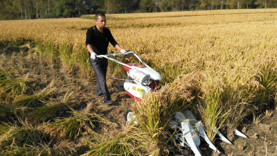 ˮ�������C��Ҋ���ϼ���Q����