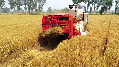 淺說山東水稻打捆機選購小技巧 淺說山東水稻打捆機選購小技巧