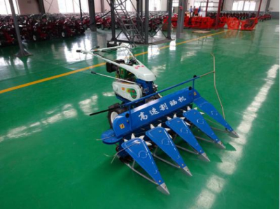 ʥ�؁����C(j��)����ע�����(xi��ng)�f(shu��)��